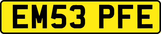 EM53PFE