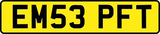 EM53PFT
