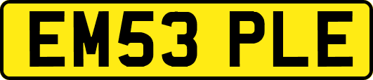 EM53PLE