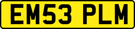 EM53PLM