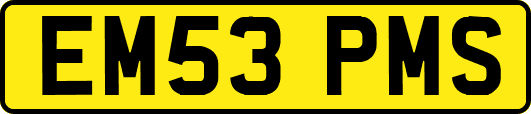 EM53PMS