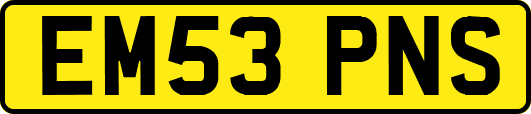 EM53PNS