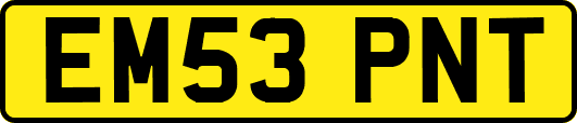EM53PNT