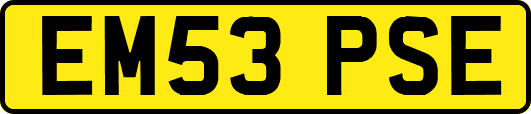 EM53PSE