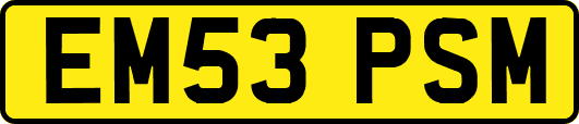 EM53PSM