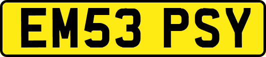 EM53PSY