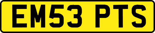 EM53PTS