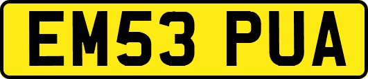 EM53PUA