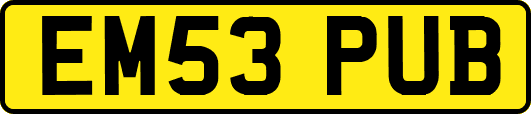 EM53PUB