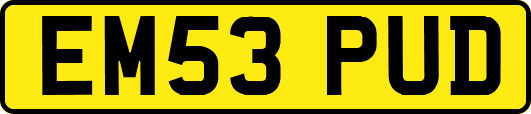 EM53PUD