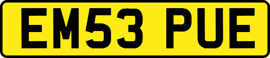 EM53PUE