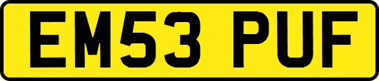 EM53PUF
