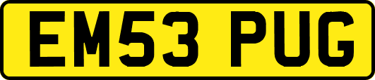 EM53PUG