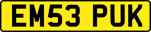 EM53PUK