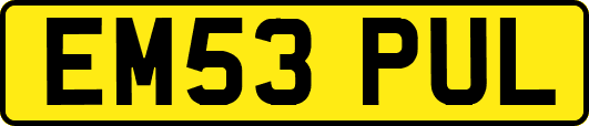 EM53PUL