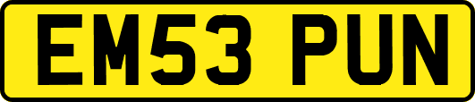 EM53PUN