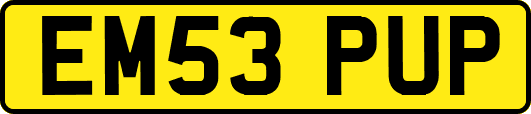 EM53PUP