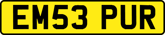 EM53PUR