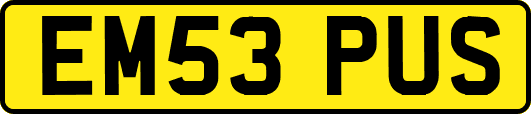 EM53PUS