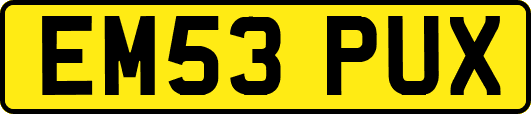EM53PUX
