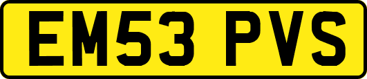 EM53PVS