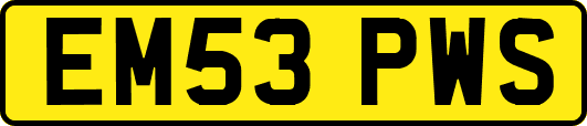 EM53PWS