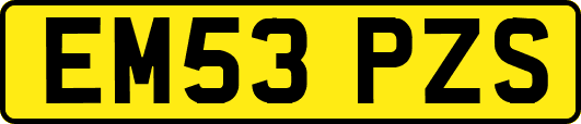 EM53PZS