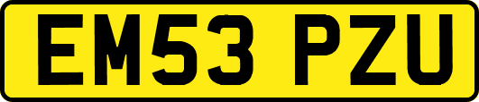 EM53PZU