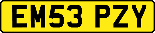 EM53PZY