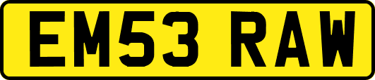 EM53RAW