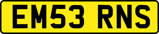 EM53RNS