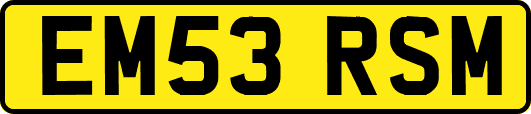 EM53RSM