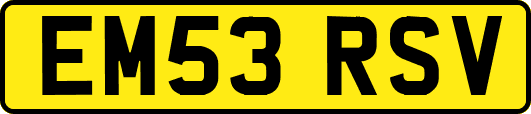 EM53RSV