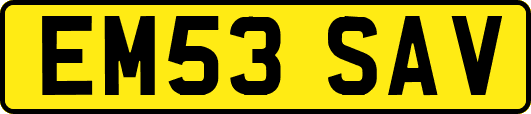 EM53SAV
