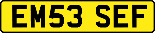 EM53SEF