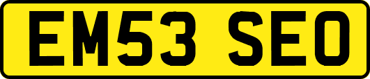 EM53SEO