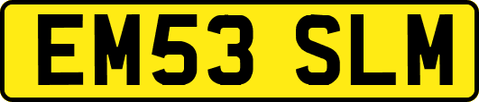 EM53SLM