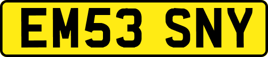 EM53SNY
