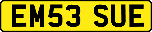 EM53SUE
