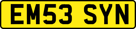 EM53SYN