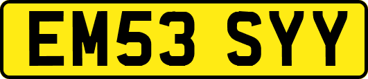 EM53SYY