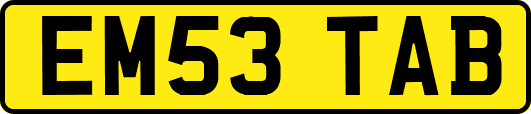EM53TAB