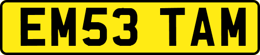 EM53TAM