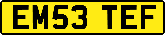 EM53TEF