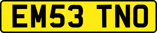 EM53TNO