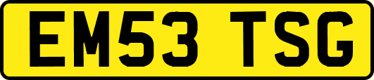 EM53TSG