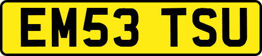 EM53TSU