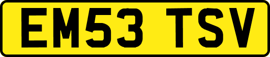 EM53TSV
