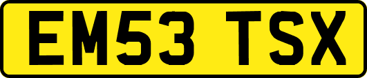 EM53TSX