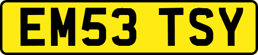 EM53TSY